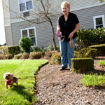 Woman walking dog